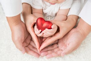 子どもと大人のこころ